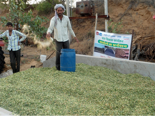 Silage Making Demonstration